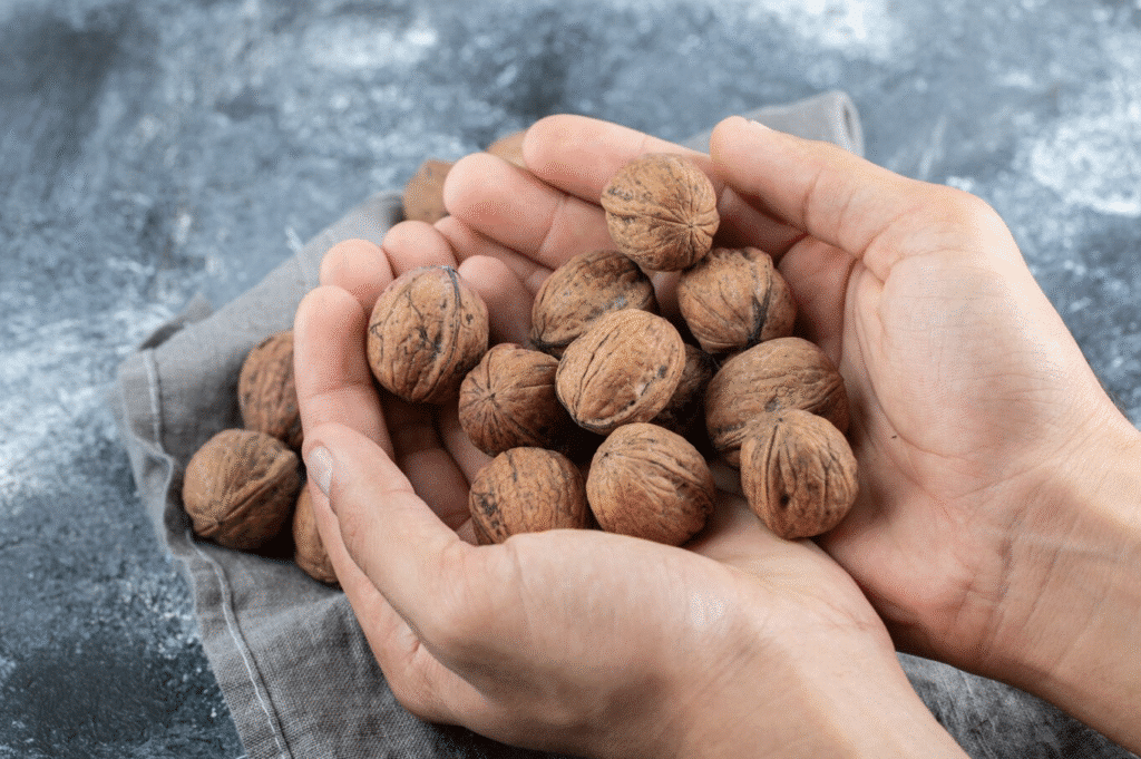 Nucile – Secretul natural pentru energie, sănătate și echilibru zilnic
